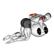 Dumbbell kickbacks on exercise ball animation