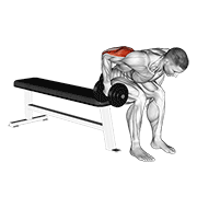 Dumbbell seated bent over triceps extension animation