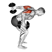 Dumbbell standing alternating tricep kickback animation