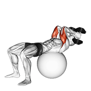 Exercise ball supine triceps extension animation