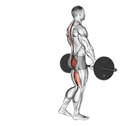 Barbell single leg deadlift animation
