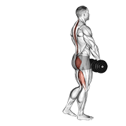 Dumbbell single leg deadlift animation