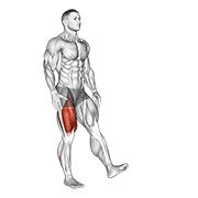 Single leg squat (pistol) male animation