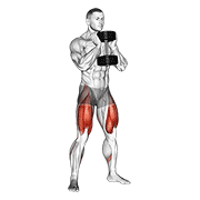 Dumbbell goblet squat animation