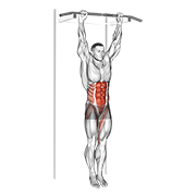 Hanging leg hip raise animation