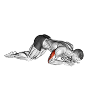 Bodyweight kneeling triceps extension animation