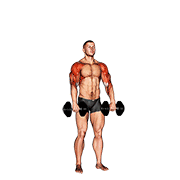 Dumbbell cuban press v. 2 animation