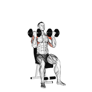 Dumbbell arnold press animation