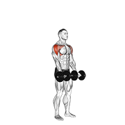 Dumbbell standing around world animation