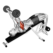 Ez barbell decline triceps extension animation