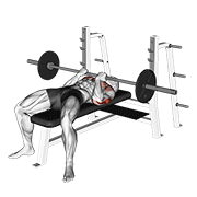 Barbell reverse close-grip bench press animation