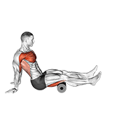 Roller seated shoulder flexor depresor retractor animation