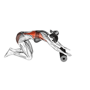 Roller back stretch animation