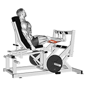 Lever calf press animation
