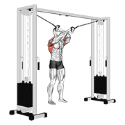 Cable lat pulldown full range of motion animation