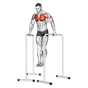 Wide-grip chest dip on high parallel bars animation