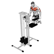 Assisted wide-grip chest dip (kneeling) animation