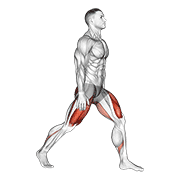 Split squats animation
