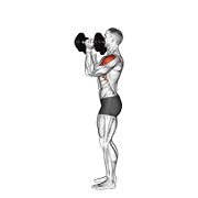 Dumbbell scott press animation
