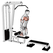 Inverse leg curl (on pull-up cable machine) animation