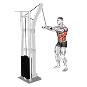 Cable thibaudeau kayak row animation