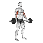 Ez-barbell standing wide grip biceps curl animation