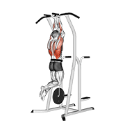 Weighted close grip chin-up on dip cage animation