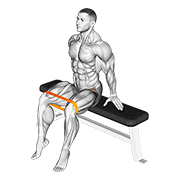 Resistance band seated hip abduction animation