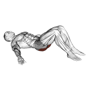 Low glute bridge on floor animation