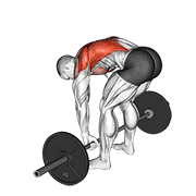 Barbell pendlay row animation