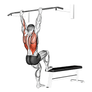 Bench pull-ups animation