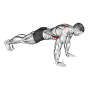 Scapula push-up animation
