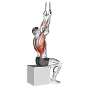Band fixed back underhand pulldown animation