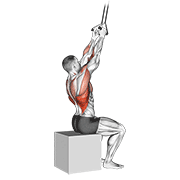 Band fixed back close grip pulldown animation