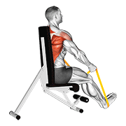 Resistance band seated straight back row animation