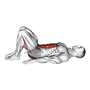Pelvic tilt animation
