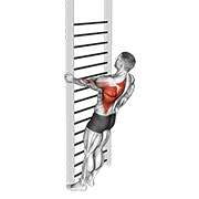 Bodyweight standing close-grip one arm row animation