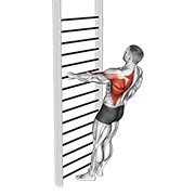 Bodyweight standing one arm row animation