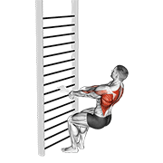 Bodyweight squatting row (with towel) animation