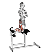 Glute-ham raise animation
