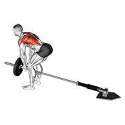 Lever bent-over row with v-bar animation