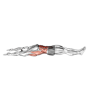 Arms overhead full sit-up (male) animation