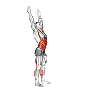 Side-to-side toe touch (male) animation