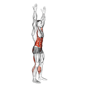 Arms apart circular toe touch (male) animation