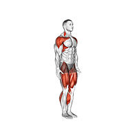 Star jump (male) animation