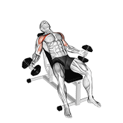 Hyght dumbbell fly animation