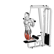 Cable assisted inverse leg curl animation