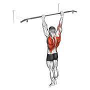 Archer pull up animation