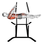 Front lever reps animation
