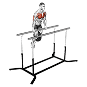 Weighted straight bar dip animation